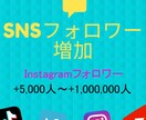 Instagramのフォロワー5000人増やします 【保証有・減少率低】希望のアカウントのフォロワー増やします イメージ1