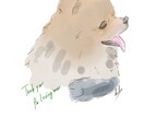 おうちの子を優しい水彩風のイラストでお描きします 似顔絵・メモリアルギフトにも。 イメージ6
