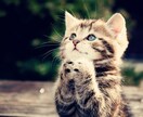 お話し相手になります 悩み相談、性について、愚痴、お話し相手などなど イメージ1