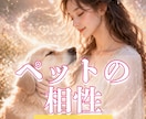 大切なペットとの相性、霊視します あの子と出会った意味を知りたいあなたへ イメージ1
