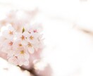 今抱えているお悩みお聞きします ///元お水のCoCoが全て受け止めちゃいます♬.*ﾟ イメージ2