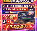 TikTok/YouTube動画編集します 現役TikToker×企業YouTube経験者がお届けします イメージ1