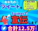 合計12.5万フォロワーTwitterで宣伝します Twitter 4アカウントで宣伝 125000フォロワー イメージ1