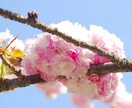 食べることの幸せについて一緒に考えます 外食恐怖症でお悩みの方、ぜひ一緒に改善していきませんか？ イメージ1