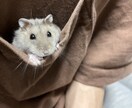女性限定✨薬剤師がお相手します 薬剤師兼心理カウンセラーが優しく傾聴します☆ イメージ5