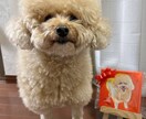 お友達へのプレゼントにも喜ばれます 絵で感動する未来をお約束致します！ イメージ9