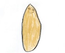 ユニークな似顔絵描きます 小学生が直感と感性で描く可愛くて面白い似顔絵 イメージ1