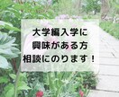 大学編入学に興味のある方、相談にのります 今の大学を辞めようか悩んでいる、編入学に興味がある方！ イメージ1