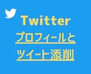 Twitterのプロフとツイートの添削をします プロフィールと、ツイートの反応を良くするための添削をします！ イメージ1