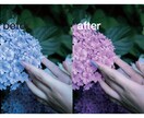 自然で透明感のあるレタッチ(人物・風景)いたします 「もっとこうだったらな」という写真への思いを実現させます イメージ3