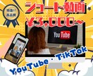 SNS向けのショート動画を制作します 【まずはご相談を!】早い！丁寧！安い！を心掛けた動画制作 イメージ1