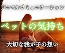 大切なペットちゃんの気持ちを霊視で読み解きます お写真から伝わるあなたへの大切なメッセージをお伝えします イメージ1
