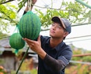 園芸相談お聞きします 【美味安全野菜栽培士】が野菜・果樹お困りな事解決します！ イメージ2