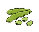 食べ物・飲み物のイラスト描きます WEBサイトや学校プリントなどに イメージ9
