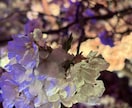 四柱推命を用いてあなたの運命の設計図を読み解きます 看護師経験を活かしあなたに寄り添った鑑定をいたします。 イメージ3
