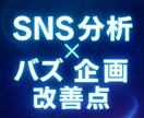 SNSを分析して伸ばす投稿プラン作ります 分析で見える“伸びる道筋”を可視化します イメージ2