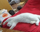 介護経験20年です!!介護全般の悩み解決します 介護での悩み、ストレス、不安なことあれば是非相談して下さい！ イメージ1