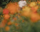 ご家族の日常を柔らかく、おしゃれに切り取ります 愛知県女性カメラマンです。カメラ苦手な方もご相談ください♪ イメージ7