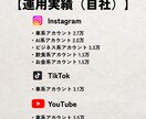 3枠限定◎SNSのプロが運用ノウハウを教えます 累計200アカウント支援実績をもとに最適な運用方法を提案 イメージ2
