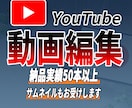 ずんだもん〜ビジネス系までお受け致します 迅速かつ丁寧に対応させていただきます イメージ1