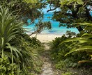 写真提供します 沖縄の綺麗な写真欲しい方ここにあります イメージ4