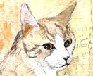 ペットの写真から、水彩画を手描きします 一般社団法人光風会で猫の絵を描いてきた作家が作品を制作します イメージ2