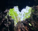 激安！旅行計画が面倒な方へ！充実プラン作成します 面倒な旅行計画をおまかせ！お得で楽しく充実したプランを提案！ イメージ9