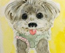 大切なペットをやさしく描きます 水彩手描きの似顔絵（原画郵送・額装オプションあり） イメージ3