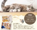 Illustratorを使用してチラシを作ります 開業・募集・セールなどこれからオリジナルチラシが必要な方へ イメージ1