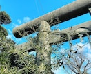 風水で開運する吉方位や開運行動をアドバイスします パワースポット専門家による風水開運アドバイス イメージ3