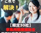 事業再構築補助金！事業計画テンプレート配布します 【期間限定価格】審査項目25項目解説付き！！ イメージ1