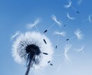 1分だけでもちょっと話したい貴方の電話待ってます 少しだけ話したい どんな感じかな？お試し感覚でお電話下さい。 イメージ1
