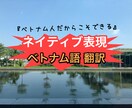 ベトナム語⇄日本語/両国の目線で翻訳致します ネイティブの言葉が必要な方、翻訳機では不十分な方/その他 イメージ1