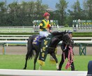 土曜日の中央競馬メインレースの予想をします 注目馬を5～7頭にしぼります。 イメージ1