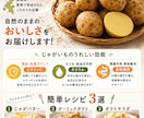 想いが伝わるチラシ・ポスター・動画編集を制作します 心に届くデザインで商品の魅力を伝えます イメージ9