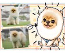 愛犬の似顔絵イラストをキャラクター仕立てで描きます もし愛犬がキャラクターになったら？を実現します！ イメージ6
