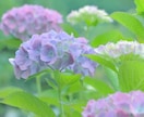 終わりのないトンネル【どん底】の気持ちお聞きします 【どん底の人生】辛い/苦しい/惨めな気持ち/先が見えない イメージ10