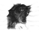 ペットの写真で水墨画を描きます 愛犬、愛猫の写真を水墨画で個性的なアート作品に仕上げます！ イメージ3