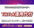 TikTok運用代行｜アカウントを伸ばします 1ヶ月で完全なTikTokの土台を作ります イメージ1