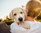 愛犬との旅行に必要な持ち物、７選。の記事書きます 愛犬と旅行に行くときの必需品を、分かりやすく解説するぞ！ イメージ1
