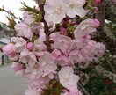 楽しい時間のお相手をさせていただきます 暇つぶし 聞いてほしい話 寂しい時間のお相手致します イメージ1