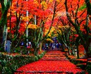 旅行の計画考えます あなただけの旅行プランご提案します。 イメージ1