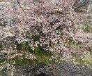 その悩みの相談のります 現役メンターがあなたの悩みと向き合います！ イメージ1