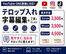 動画のテロップ入れ・字幕編集を丁寧に行います YouTube動画のテロップ整形・字幕校正に対応します イメージ1