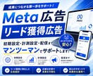 リード獲得特化のMeta広告配信設定します Meta広告のプロによるリード獲得特化の初期配信設定します イメージ1