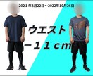 5キロ以上痩せたい方、徹底サポートします 一般の方から芸能人、経験豊富なトレーナーがサポート致します！ イメージ6