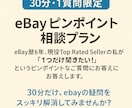 eBayの質問1つだけOK！相談お引き受けします 30分！eBayのどんなご質問にも対応します イメージ1
