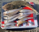 初めてやる釣りはこれ！を伝授致します どんな釣りをする、どんなものを用意すればいいかサポートします イメージ3
