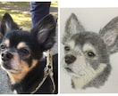 ペットの写真から水彩画か鉛筆画で似顔絵を描きます ペットの顔を描きます。原画をお届けします。 イメージ4