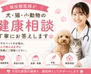 現役獣医師が犬・猫の健康相談に丁寧にお答えします 愛するペットのお悩み、抱え込まずお気軽にご相談ください。 イメージ1